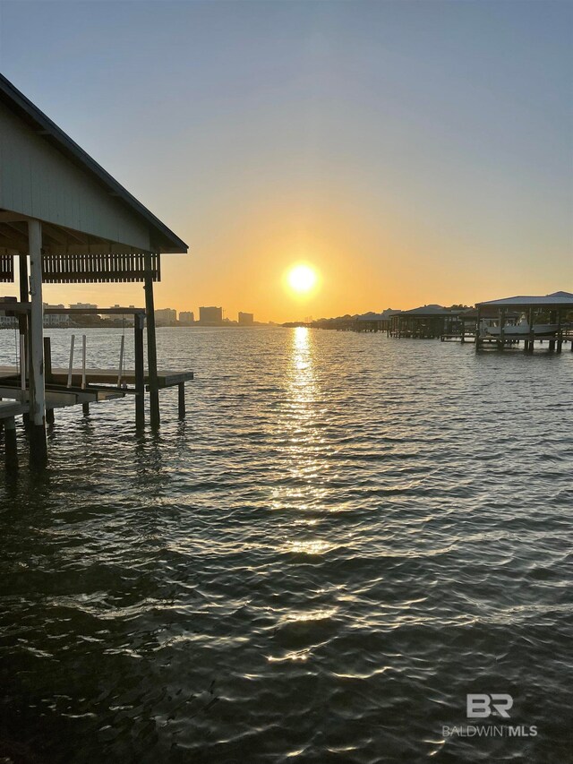 dock area with a water view