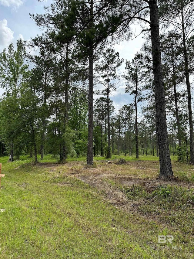 0 Hollingsworth Rd, Bay Minette AL, 36507 land for sale