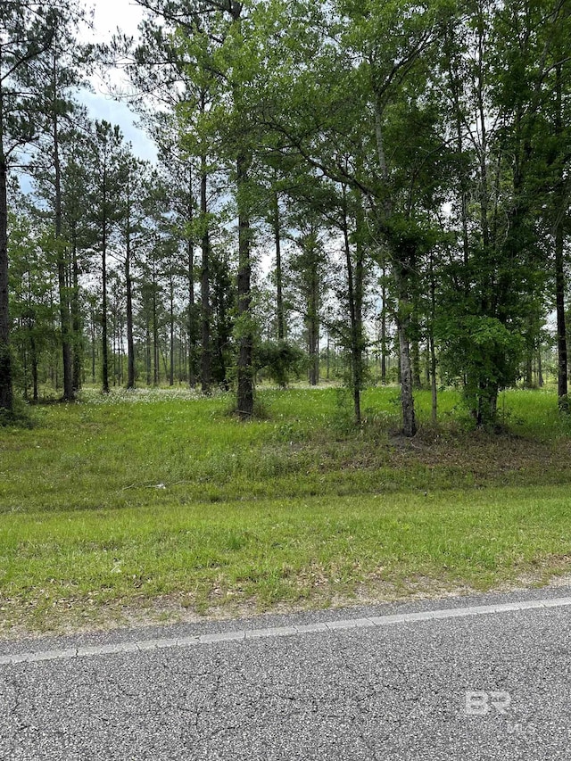 Listing photo 2 for 0 Hollingsworth Rd, Bay Minette AL 36507