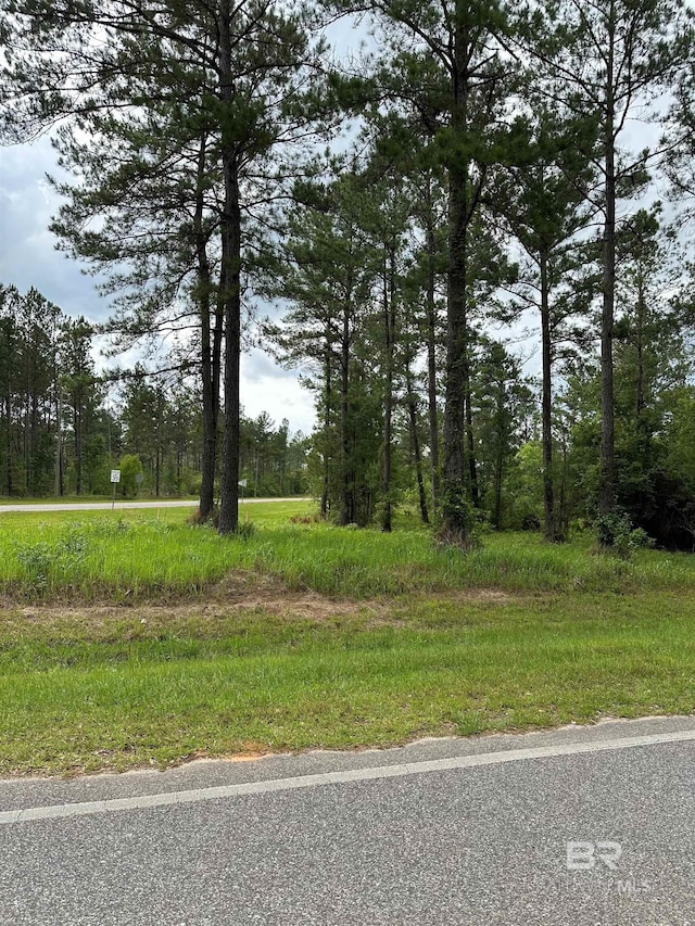 Listing photo 3 for 0 Hollingsworth Rd, Bay Minette AL 36507