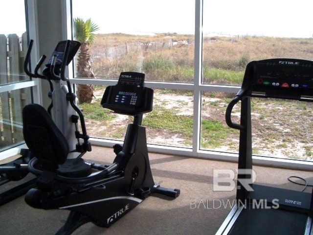 view of gym