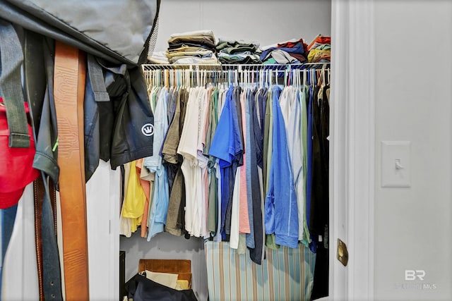 view of closet