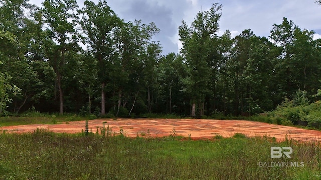 0 Saddlewood Ln, Fairhope, AL 36526
