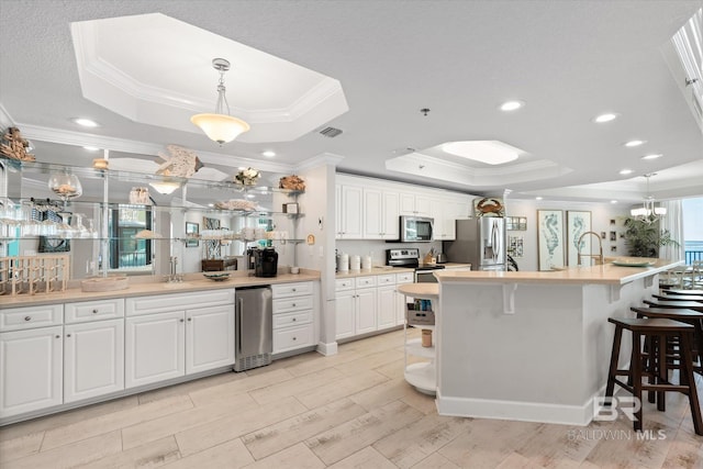 kitchen with appliances with stainless steel finishes, a tray ceiling, white cabinetry, and open shelves