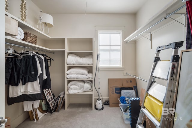 spacious closet featuring carpet