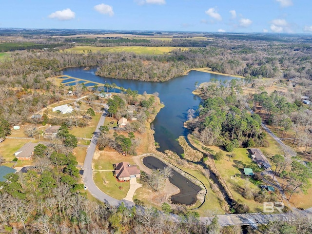 bird's eye view featuring a water view and a forest view