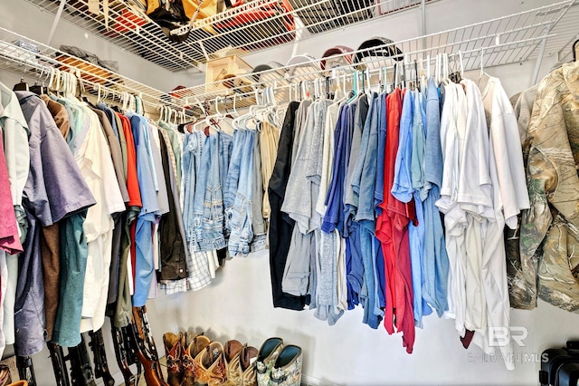 view of spacious closet