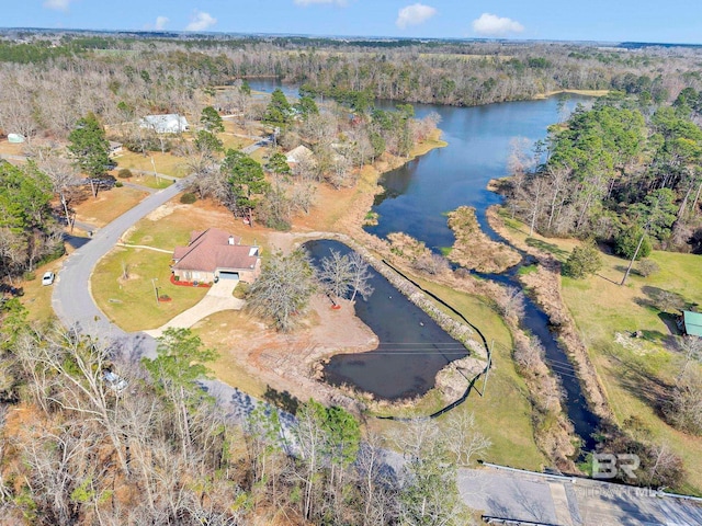 birds eye view of property with a water view and a view of trees