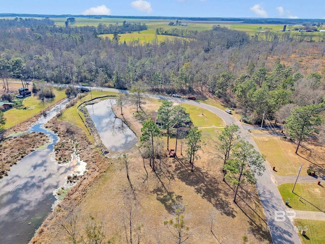 aerial view featuring a water view and a forest view