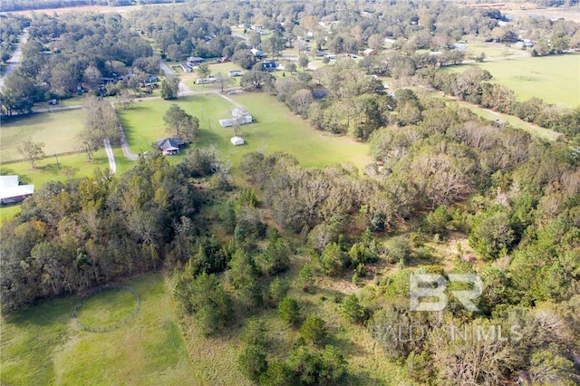 11580 Boe Rd, Grand Bay, AL 36541