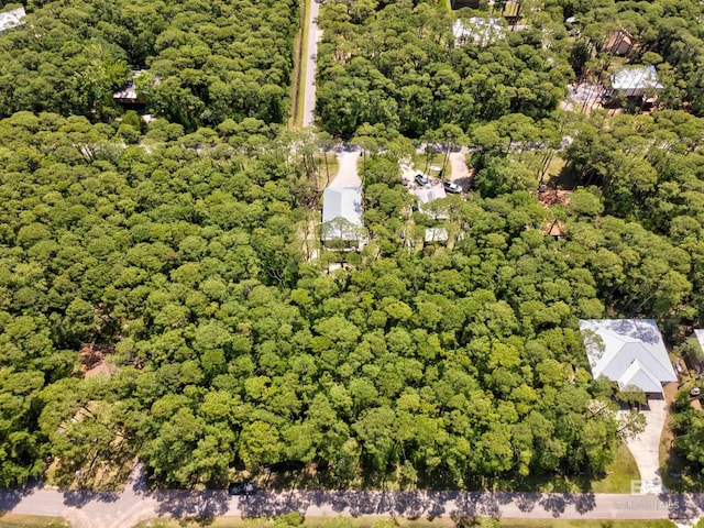 142 Narvaez St, Dauphin Island, AL 36528