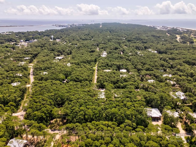 142 Narvaez St, Dauphin Island, AL 36528