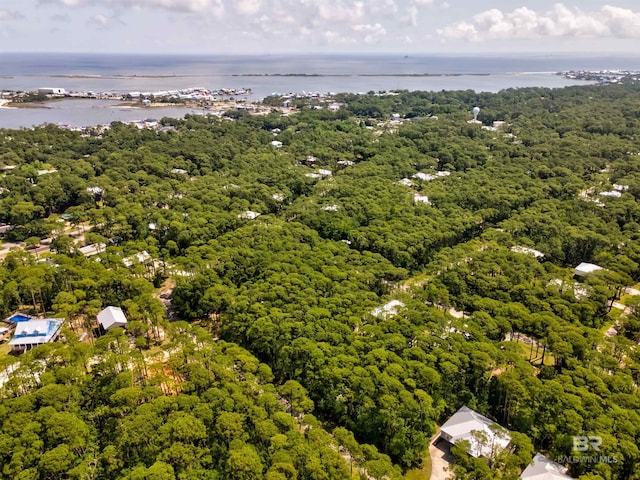 142 Narvaez St, Dauphin Island, AL 36528