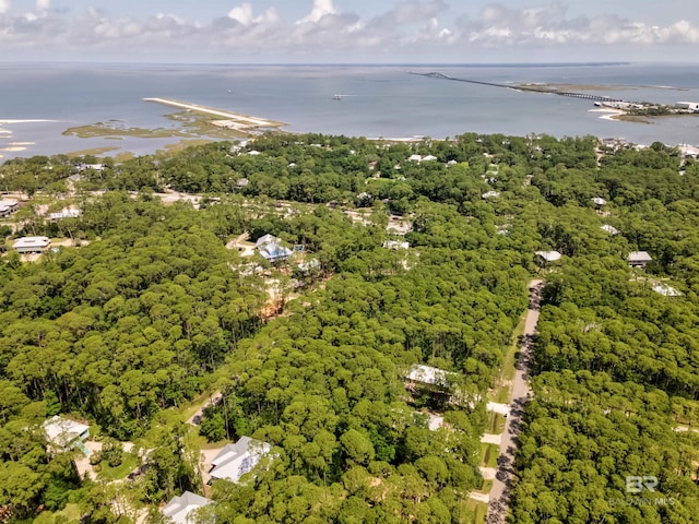 142 Narvaez St, Dauphin Island, AL 36528