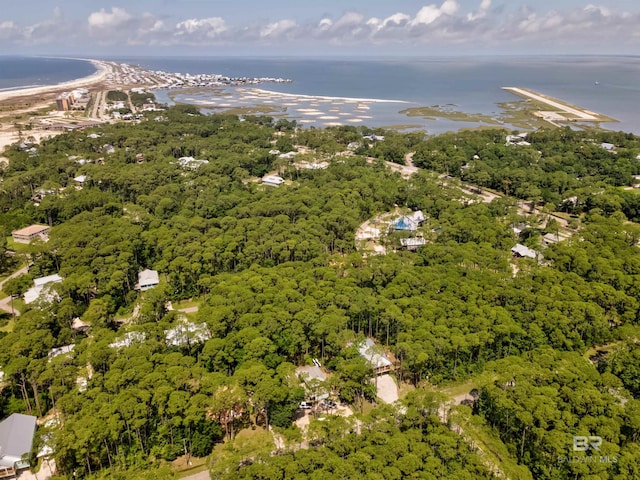 142 Narvaez St, Dauphin Island, AL 36528