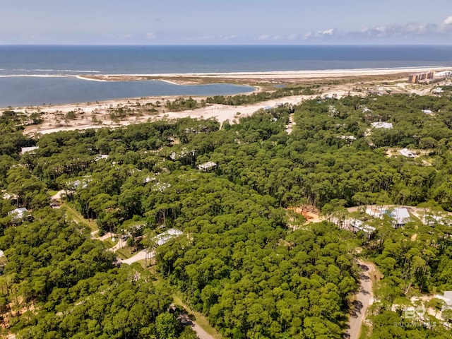142 Narvaez St, Dauphin Island, AL 36528