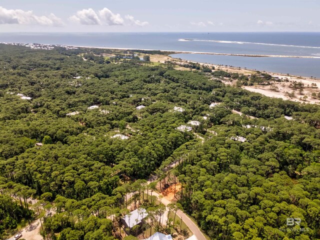 142 Narvaez St, Dauphin Island, AL 36528