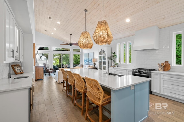 kitchen with an island with sink, custom exhaust hood, plenty of natural light, and sink