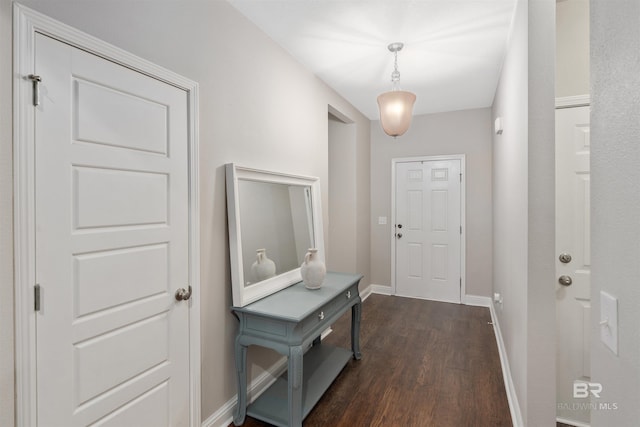 doorway featuring dark wood-type flooring