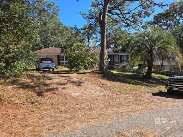 ranch-style house with a front lawn