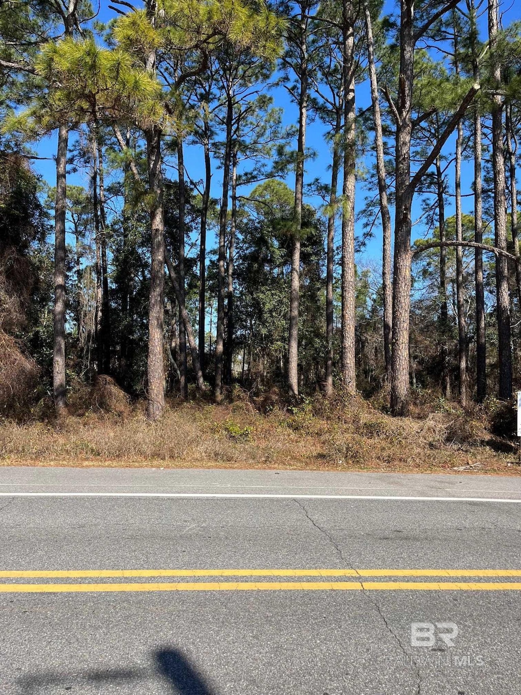 16TH E A Ave, Gulf Shores, AL 36542