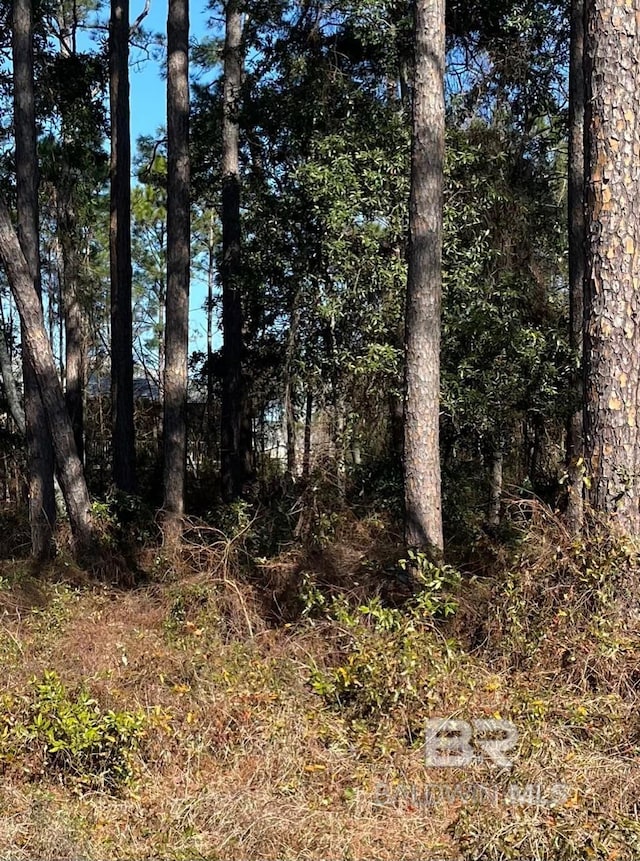 16TH E A Ave, Gulf Shores, AL 36542