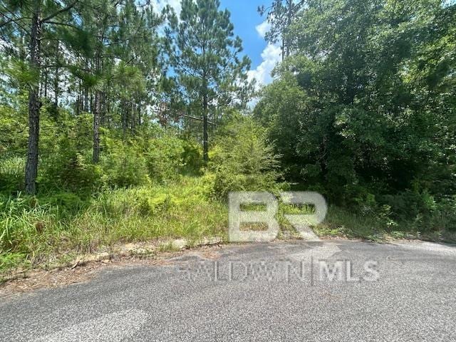 000 Woodpecker Ct, Spanish Fort AL, 36527 land for sale