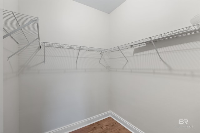 walk in closet featuring wood finished floors