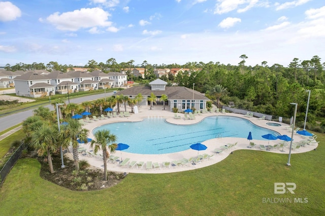 view of pool featuring a patio area and a lawn