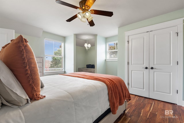 bedroom featuring ceiling fan with notable chandelier, dark hardwood / wood-style flooring, and a closet