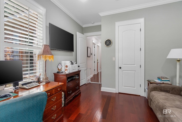 office space featuring dark hardwood / wood-style flooring and crown molding