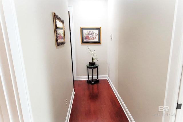 corridor featuring dark wood-type flooring