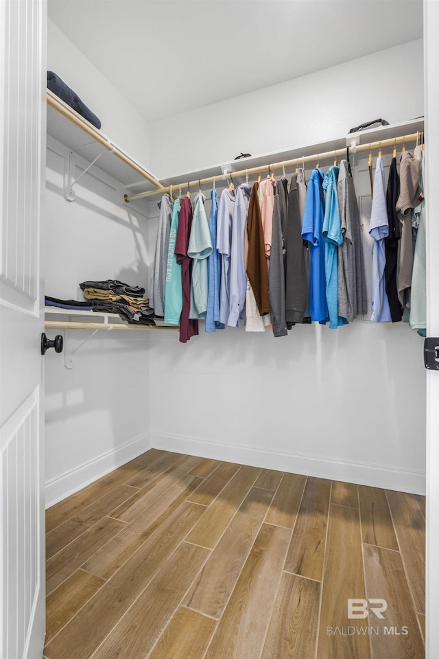 view of walk in closet