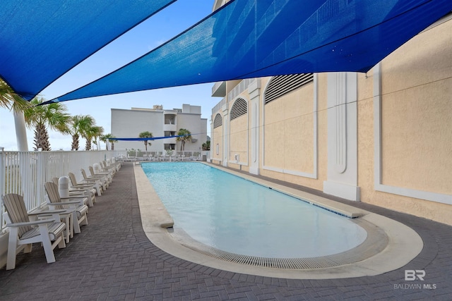 view of pool featuring a patio area