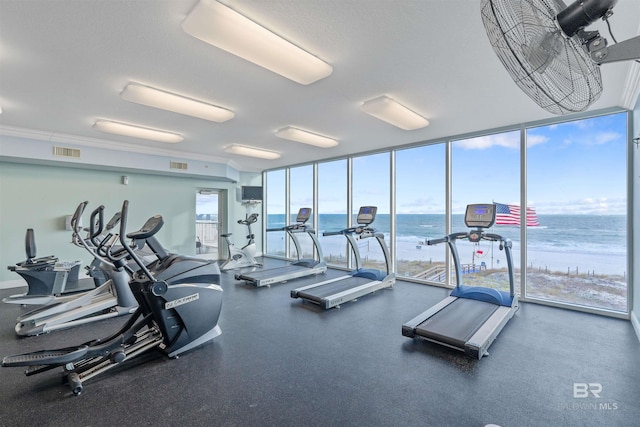 workout area with a healthy amount of sunlight and expansive windows