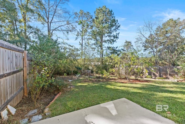 view of yard featuring a patio area