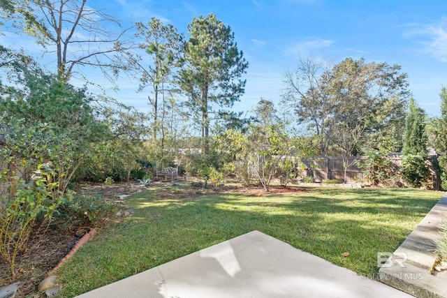 view of yard with a patio