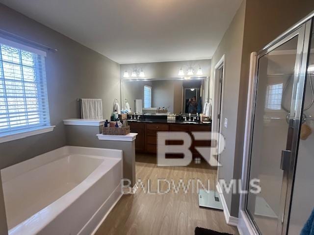 bathroom featuring plus walk in shower, hardwood / wood-style floors, and vanity