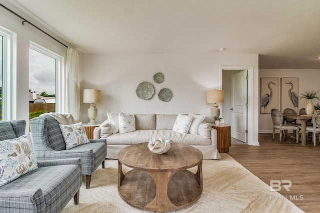 living room with baseboards and wood finished floors