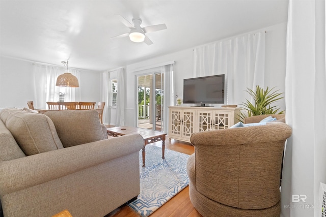 living room featuring ceiling fan, visible vents, and wood finished floors