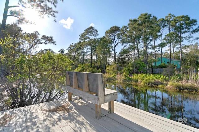 dock area with a water view