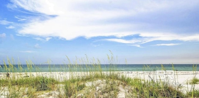 water view featuring a beach view