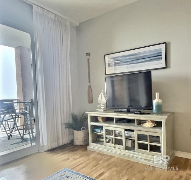 living room with hardwood / wood-style floors