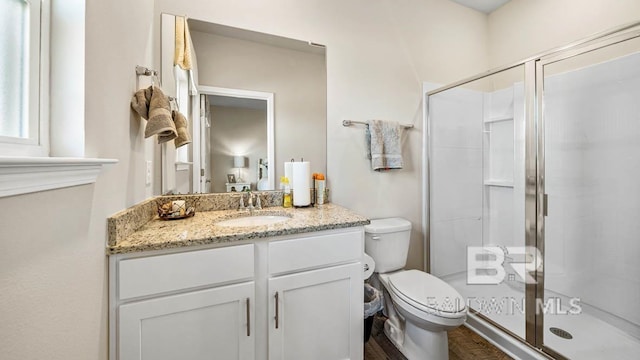 full bathroom featuring a shower stall, toilet, and vanity