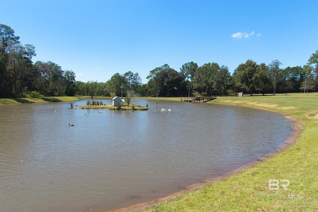 property view of water