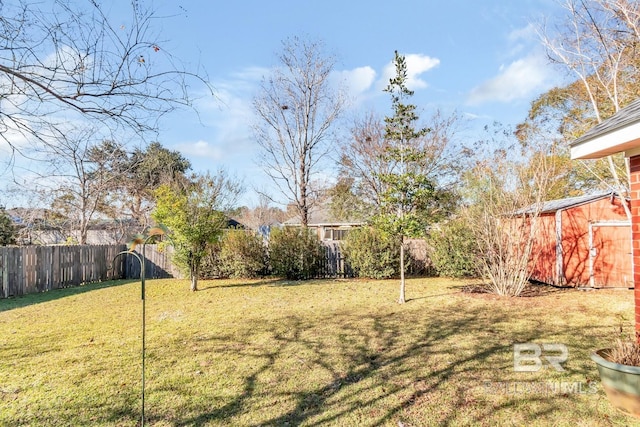 view of yard featuring a shed