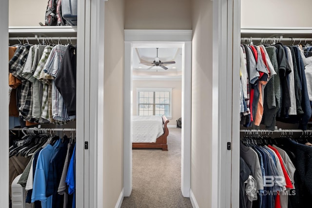 view of closet