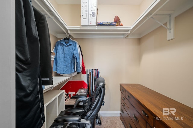 view of walk in closet