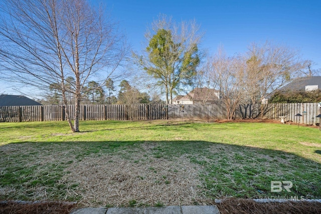 view of yard featuring a fenced backyard