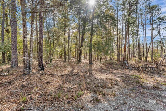 8190 Dixon Rd, Bay Minette, AL 36507